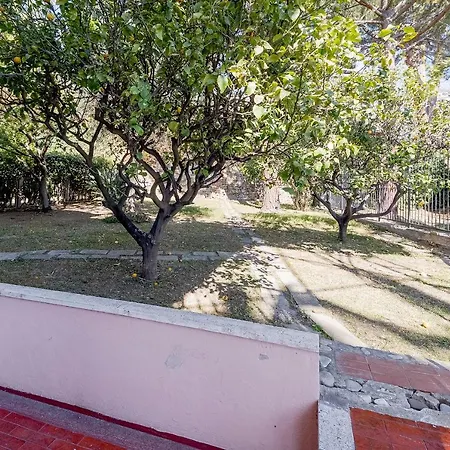 Lemon Tree - Garden, Sea View, Wifi 圣雷默
